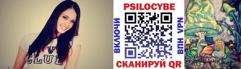 Псилоцибиновые грибы Psilocybe  где купить наркотик  Шлиссельбург 